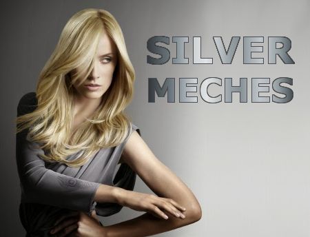 Silver Meches